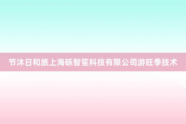 节沐日和旅上海砾智笙科技有限公司游旺季技术