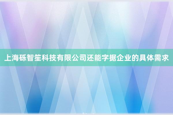 上海砾智笙科技有限公司还能字据企业的具体需求